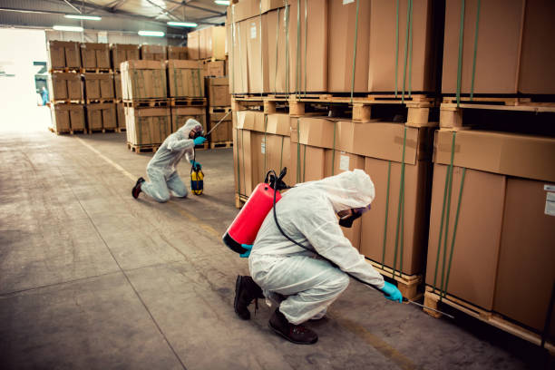 Best Pest Removal Services  in Gorevle, IL