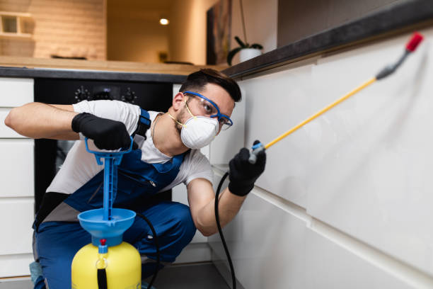 Best Pest Control Treatment  in Gorevle, IL