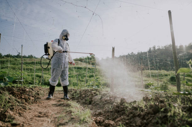 Best Commercial Pest Control Services  in Gorevle, IL