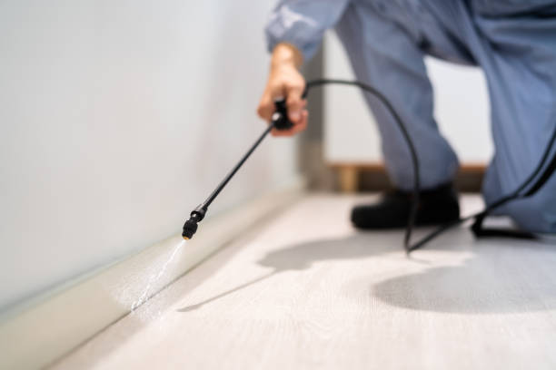 Best Emergency Pest Control  in Gorevle, IL