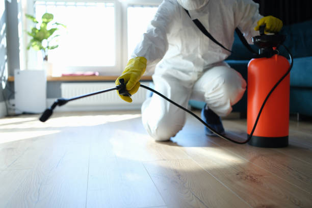 Best Mosquito Control Services  in Gorevle, IL