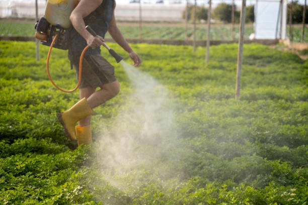 Best Exterminator Services  in Gorevle, IL
