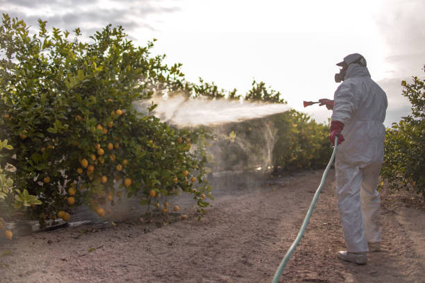 Professional Pest Control in Goreville, IL