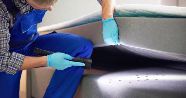Best Best Pest Control Companies  in Gorevle, IL