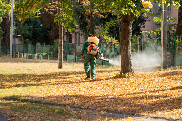 Best Local Pest Control Services  in Gorevle, IL