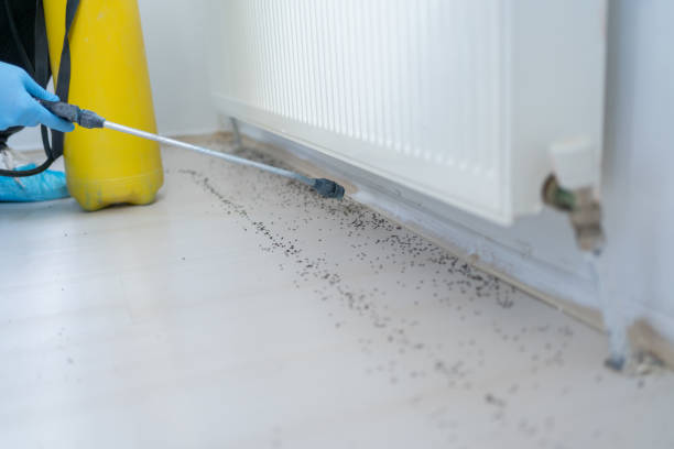 Pest Control Cost in Goreville, IL
