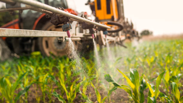 Best Wildlife Control Services  in Gorevle, IL