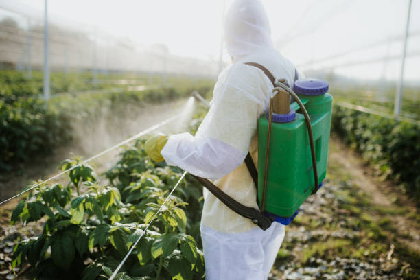 Best Wildlife Control Services  in Gorevle, IL